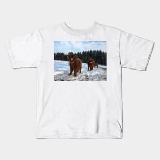 Scottish Highland Cattle Calves 1680 Kids T-Shirt